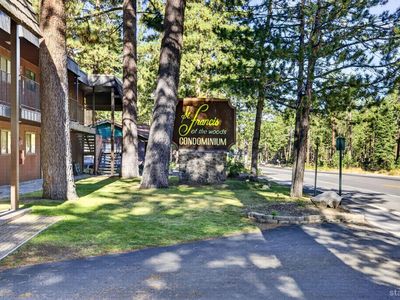 516 Emerald Bay Rd #233