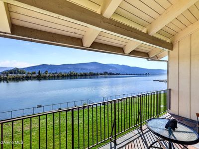 301 Iberian Way APT 231