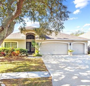 19606 Morden Blush Dr