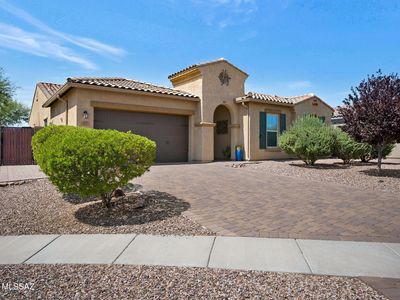 935 W Zebra Tail Ct