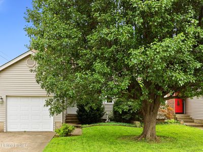 186 Beechtree Ln