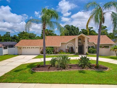 80 FOXFIRE LANE