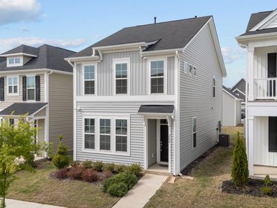 262 Pansy Park