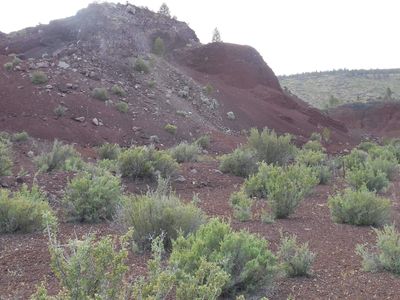 Property at Kegg, Macdoel, CA