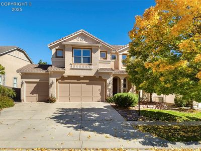 9533 Newport Plum Ct