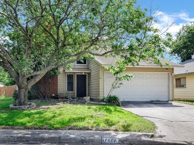 17007 VISTA BLF