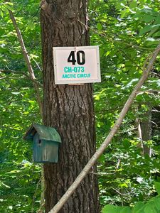 40 Arctic Circle #M073