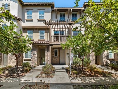 1052 Chamomile Hwy