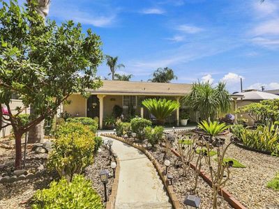 227 Millar Ave