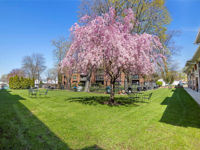 400 Fulton Street #13B