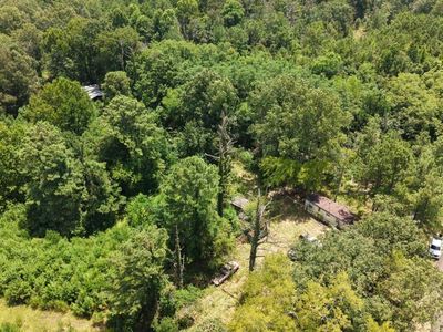 258 Pine Tree Ln