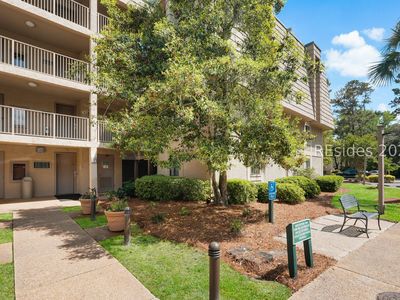 10 Lighthouse Rd APT 430