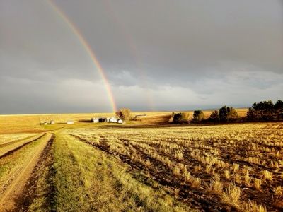 539 Cottonwood Coulee Rd