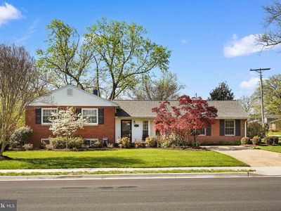 10917 Woodhaven Dr