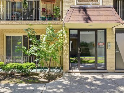 6316 W Montrose Ave APT 102