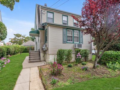141 Elmwood Street