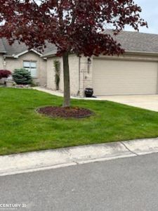 35283 Silver Maple Dr #38