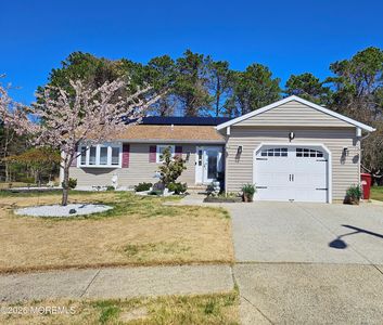9 Flamingo Way