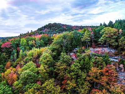 544 Vulture Mountain Road