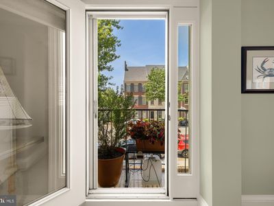 1115 N Pitt St APT 2B