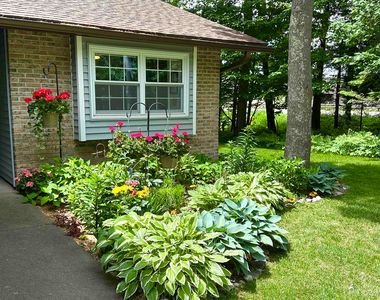 101 Forest Ridge Dr