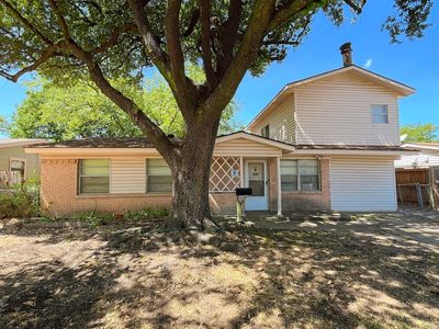 917 Bluebonnet Ln
