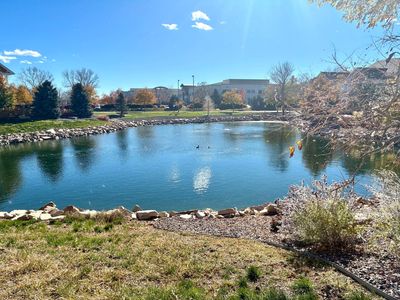 4835 Hahns Peak Dr #203