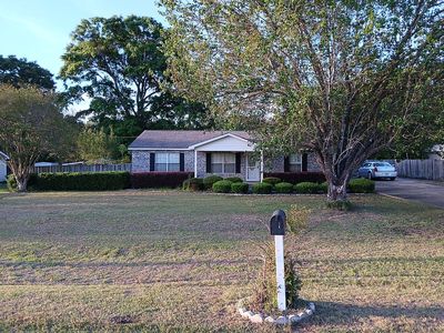 343 Pine Tree St