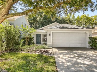 7902 CITRUS BLOSSOM DRIVE