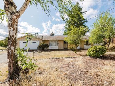 567 Juniper Street