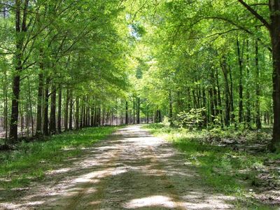 3694 County Road 115