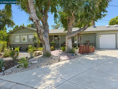 31 Rogers Ct