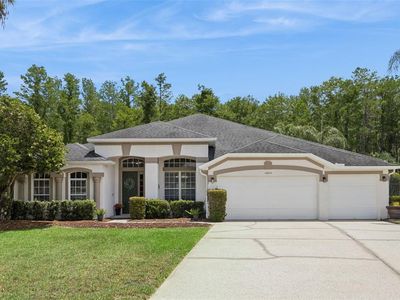 14812 Via Winghurst Ct