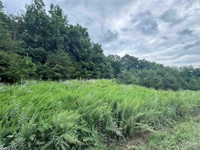 Property at 0 E Walnut St, New London, MO