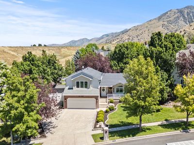 1557 Braxton Pl