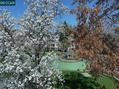 1860 Tice Creek Dr APT 1424