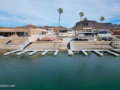 36925 Polynesian Shrs