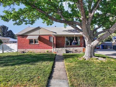 780 Dogwood St