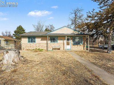 123 Linden Dr