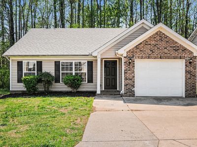 1375 E Nir Shreibman Blvd