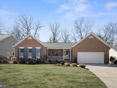 10623 Millet Seed Hl