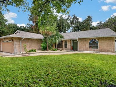 2815 ORANGE TREE