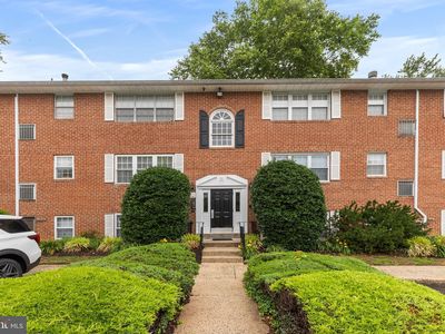 800 South Ave APT B11