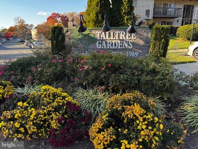 4945 Americana Dr APT 106