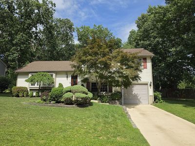 6 Buxton Rd