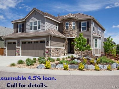 14317 Double Dutch Loop