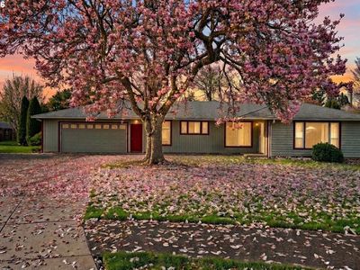 280 Regal Ct