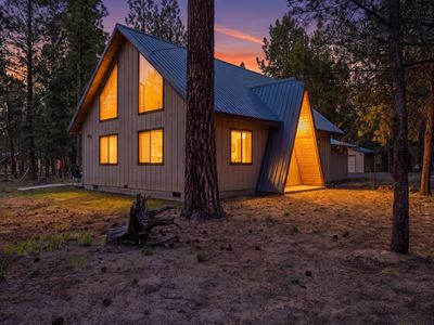 52035 Noble Fir