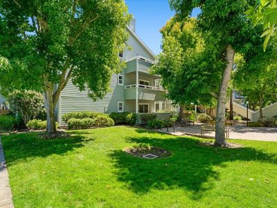 41 Grandview St APT 1203