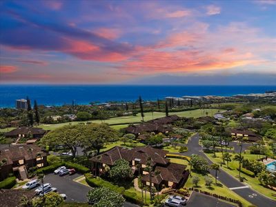 50 Puu Anoano St APT 1704